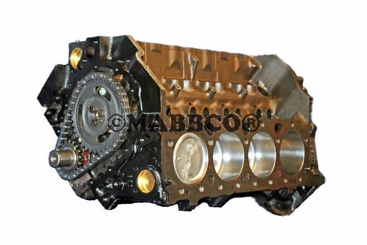 MARINE GM Chevrolet 5.0 305 Short Block 1987-1995 Roller - NO CORE REQUIRED - 90 Day Limited Warranty