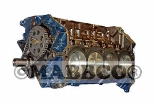 Ford 302 rebuilt short block #5